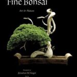 Fine Bonsai : Art & Nature