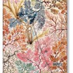 2023 Anemone, Midi, Week-at-a-Time Vertical Diary : Hardcover, Vertical Layout, 100 gsm, wrap closure