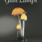 Galle Lamps