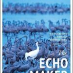 Echo Maker, the
