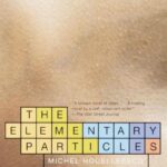 The Elementary Particles