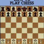 101 Questions on How to Play Chess