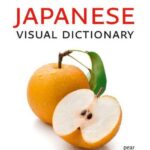 Japanese Visual Dictionary: A photo guide to everyday words and phrases in Japanese