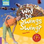 Why Do Swings Swing? Level 4 Factbook