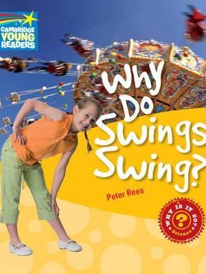 Why Do Swings Swing? Level 4 Factbook