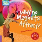 Why Do Magnets Attract? Level 4 Factbook