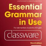 Essential Grammar in Use Elementary Level Classware Dvd-Rom with answers