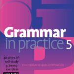 Grammar in Practice 5