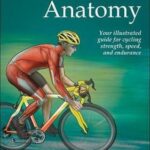 Cycling Anatomy