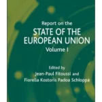 Report on the State of the European Union Volume 1