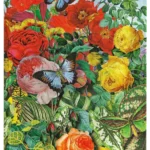 Nature, Butterfly, Midi, Lin,