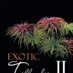 Exotic Tillandsia II
