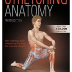 Stretching Anatomy