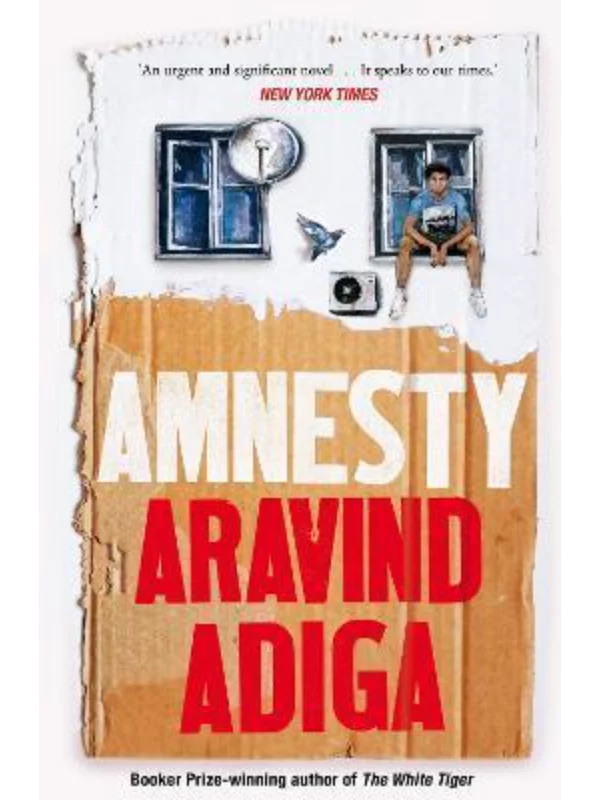 Amnesty 1
