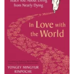 In Love with the World : What a Monk Can Teach You About Living from Nearly Dying