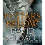 The Stars Below (Vega Jane) Hardcover – 26 Feb 2019
