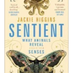 Sentient : What Animals Reveal About Human Senses