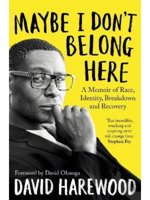 Maybe I Don't Belong Here : A Memoir of Race, Identity, Breakdown and Recovery - Image 1