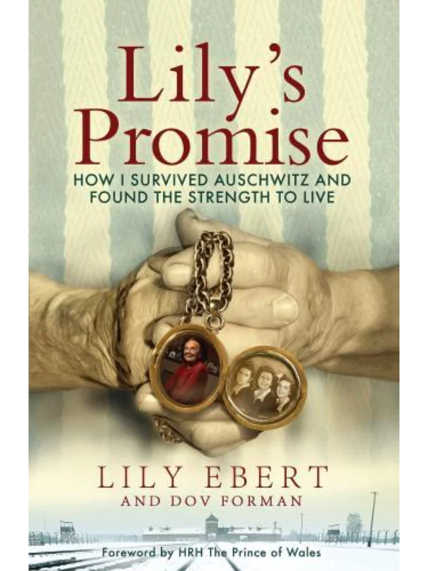 Lily's Promise - Image 1