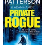 Private Rogue : (Private 16)