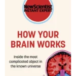 How Your Brain Works
