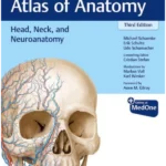 Head, Neck, and Neuroanatomy (Thieme Atlas of Anatomy)