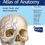 Head Neck and Neuroanatomy THIEME Atlas of Anatomy Latin Nomenclature