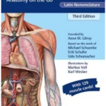 Anatomy Flash Cards, Latin Nomenclature