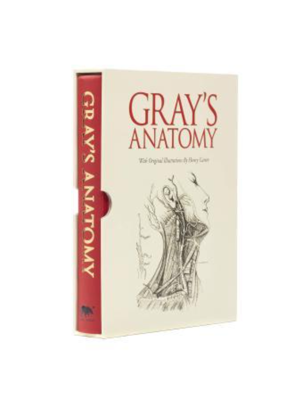 9781782124269 Gray's Anatomy - Slika 1