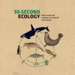 30-Second Ecology : 50 key concepts and challenges, each explained in half a minute