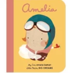 My first Amelia Earhart