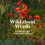 Wild about Weeds : Garden Design with Rebel Plants
