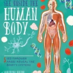 See Inside the Human Body