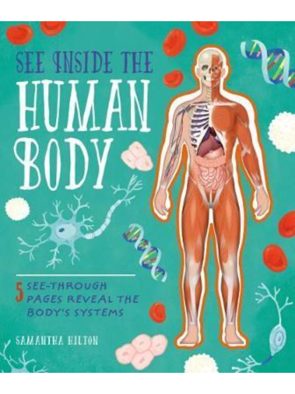 9781788281249 See Inside the Human Body - Slika 1