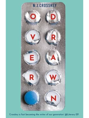 Overdrawn : A Guardian Book of the Month