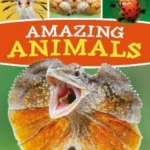 Amazing Animals