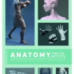 Anatomy for 3D Artists: The Essential Guide for CG Professionals