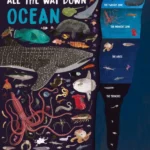 All the Way Down: Ocean