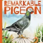 Big Picture Book: the Remarkable Pigeon