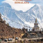 Wanderlust Himalaya : Hiking on Top of the World