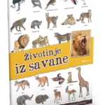 Panorama: Životinje iz savane