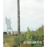 At Your Own Risk : A Saint's Testament