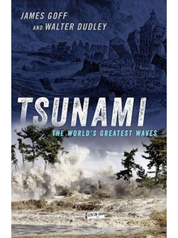 Tsunami : The World's Greatest Waves - Image 1