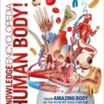 Knowledge Encyclopedia Human Body!