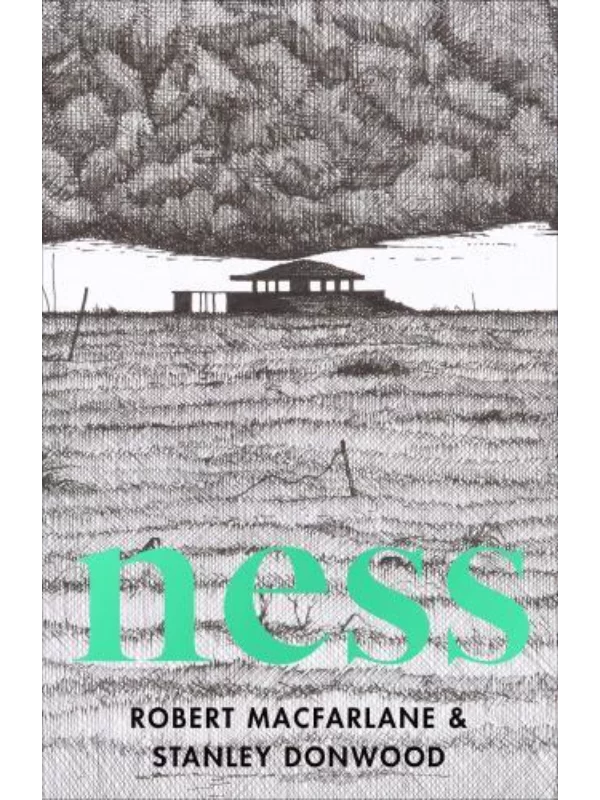 Ness - Image 1