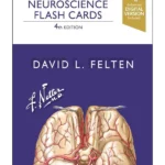 Netter'S Neuroscience Flash Cards