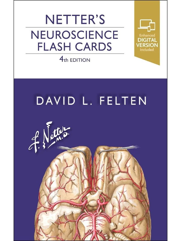 Netter'S Neuroscience Flash Cards 1