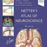 Netter's Atlas of Neuroscience, 4th Edition