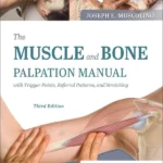The Muscle and Bone Palpation Manual with Trigger Points, Referral Patterns and Stretching, 3rd Edition
