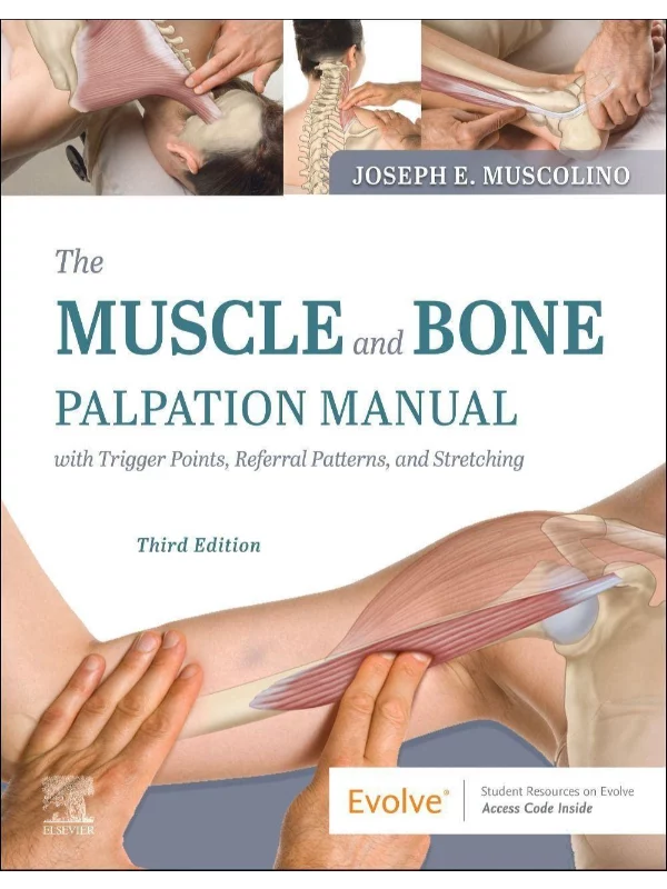 The Muscle and Bone Palpation Manual with Trigger Points, Referral Patterns and Stretching, 3rd Edition 1